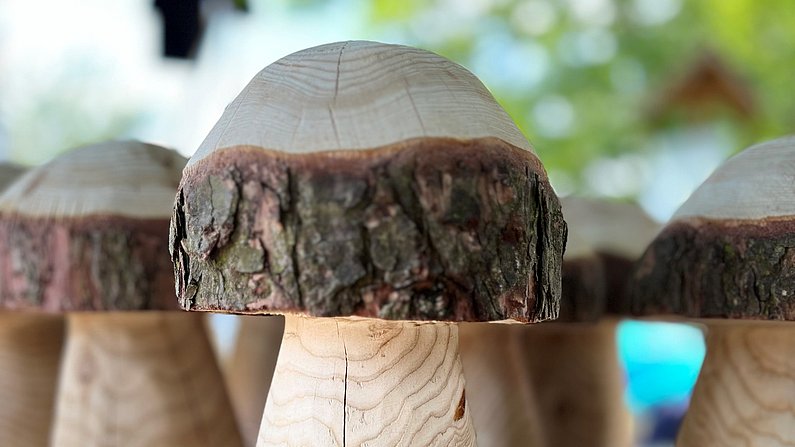 Auf dem Bild ist ein Holzpokal in Form eines Pilzes zu sehen. 