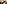 Auf dem Foto sind vier Personen zu sehen. Einer hält einen Blumenstrauß und zwei eine Präsentkiste. Alle Personen lächeln. 