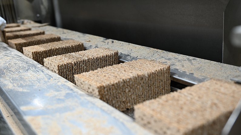 Auf dem Bild ist Knäckebrot bei der Herstellung zu sehen. 